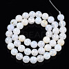 Natural Crackle Agate Beads Strands G-S359-240B-1-4