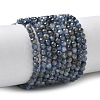 Natural Kyanite/Cyanite/Disthene Beads Strands G-L651-C02-4mm-2