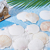 500G Natural Shell Ornaments DJEW-FH0001-35B-4