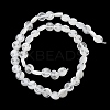 Handmade Lampwork Beads Strands LK-R004-50E-3