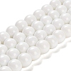 Painted Glass Bead Strands LS-DGLA-S071-12mm-01-1