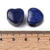 Dyed Natural Lapis Lazuli European Beads G-C269-01L-3