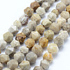 Natural Fossil Coral Beads Strands G-F523-23-8mm-1