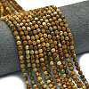 Natural Picture Jasper Beads Strands G-A260-A47-01-1