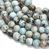 Natural Larimar Beads Strands G-L642-B19-6mm-4