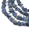 Natural Kyanite/Cyanite/Disthene Chip Beads Strands X-G-E271-78-3
