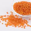 8/0 Glass Seed Beads X-SEED-A005-3mm-29-1