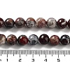 Natural Mexican Red Laguna Lace Agate Round Beads Strands G-NH0005-A31-03-5