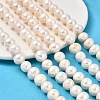 Natural Cultured Freshwater Pearl Beads Strands PEAR-I007-07U-01B-1