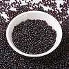 MIYUKI Round Rocailles Beads X-SEED-G008-RR4504-2