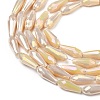 Electroplated Opaque Glass Beads Strands X-EGLA-L015-FR-B25-01-2
