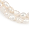 Natural Cultured Freshwater Pearl Beads Strands PEAR-P064-20A-04A-02-4