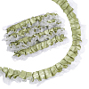 1Pc Polyester Ruffled Trimming DIY-ME0003-35C-1