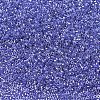 MIYUKI Delica Beads SEED-X0054-DB0243-4
