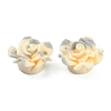 Smudged Color Frosted Resin Cabochons RESI-TAC0018-13E-1