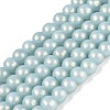 Baking Paint Glass Pearl Beads Strands DGLA-ZX001-05B-14-1