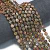 Natural Leopard Skin Jasper Beads Strands G-K389-B17-01-2