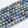 Natural Crazy Agate Beads Strands G-G707-8mm-A18-1