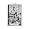 Non-Tarnish 201 Stainless Steel Pendants LS-STAS-S105-LA211-8-1