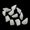 Chip Imitation Gemstone Acrylic Beads OACR-R021-24-1