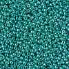 TOHO 11/0 Round Beads X-SEED-TR11-PF0569-2