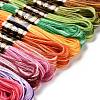 21 Skeins 21 Colors 6-Ply Polyester Embroidery Floss OCOR-M009-01E-01-2