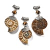 Natural Tiger Eye Fossil Snail Pendants G-F062-13-1