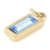 Glass Pendants STAS-P366-40G-03-2