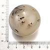 Natural Ocean Jasper Crystal Ball PW-WG29726-01-2
