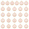 26Pcs Alloy Enamel Pendants ENAM-TA0002-86A-2