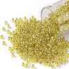 TOHO 8/0 Round Beads X-SEED-TR08-2151S-1