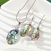 Abalone Shell/Paua Shell Jewelry Sets SJEW-E032-02-1