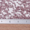 MIYUKI Delica Beads Small SEED-X0054-DBS0711-4