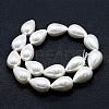 Electroplate Shell Pearl Beads Strands BSHE-G010-12x16mm-01-3