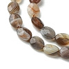 Natural Botswana Agate Beads Strands G-H004-B02-01-4