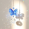 Glass Pendant Decorations PW-WGE3AD3-05-1