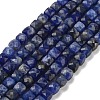 Natural Sodalite Beads Strands G-H042-A08-02-1