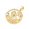 Ocean Brass Micro Pave Cubic Zirconia Pendants LS-KK-K411-04B-G-2