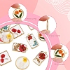 12Pcs 6 Styles Transparent Clear Epoxy Resin Pendants RESI-FS0001-88A-2