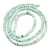 Natural Amazonite Beads Strands G-G161-A02-01-3