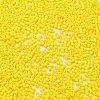 Baking Paint Glass Seed Beads X-SEED-S042-05B-81-3