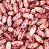 Baking Paint Glass Seed Beads SEED-N008-06C-3
