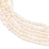 Natural Cultured Freshwater Pearl Beads Strands PEAR-D003-01D-02-4