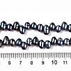 Natural Cultured Freshwater Pearl Beads Strands PEAR-N013-05L-01-4