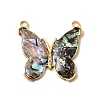 304 304 Stainless Steel Pave Natural Paua Shell Pendants STAS-Z148-01G-1