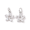 Star Brass Micro Pave Clear Cubic Zirconia Charms KK-G435-43P-1