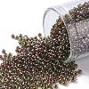 TOHO Round Seed Beads SEED-XTR11-0250-1