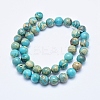 Natural Aqua Terra Jasper Beads Strands G-E444-14A-10mm-2