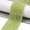 Natural Peridot Beads Strands LS-G-ONLY-T-B07-01-2