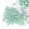 (Repacking Service Available) Glass Seed Beads SEED-C020-3mm-154-1